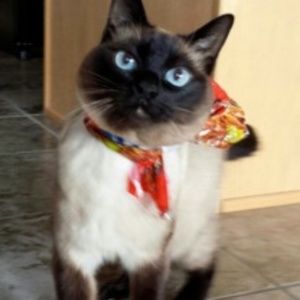 Meet your Posher, Dee